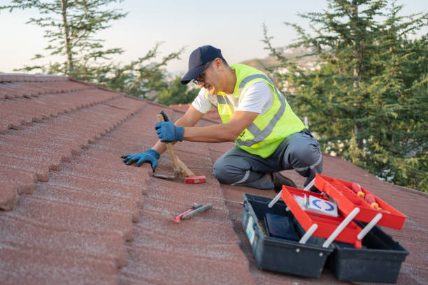 Best Roof Moss and Algae Removal  in Post, TX